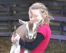 Eden Orchard And Farmstay - Accommodation Resorts 2