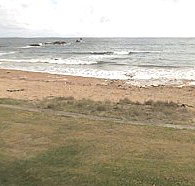 Penguin Caravan Park - Accommodation Resorts