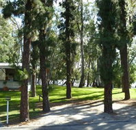 Barham Caravan  Tourist Park - Accommodation Resorts