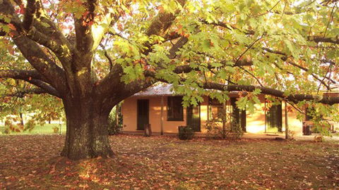 Delatite Station - Accommodation Resorts 3