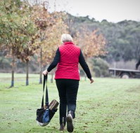 Black Cat Cottage - Accommodation Resorts