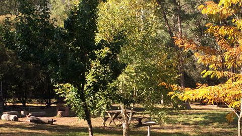 Schusters Lodge - Accommodation Resorts 6