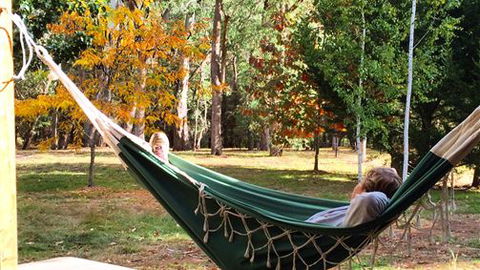 Schusters Lodge - Accommodation Resorts 5