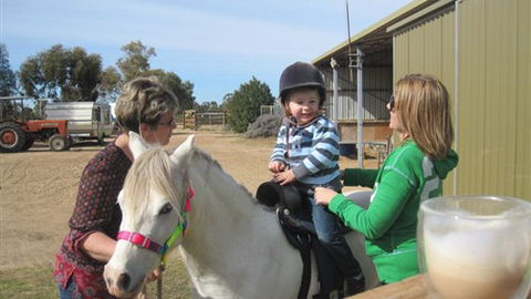 Cabarita Lodge - Accommodation Resorts 2