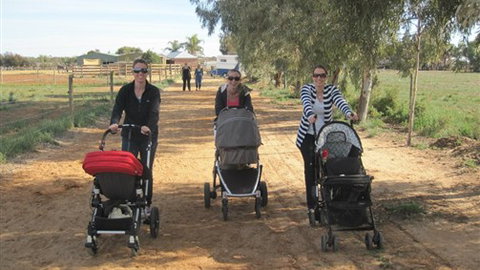 Cabarita Lodge - Accommodation Resorts 3