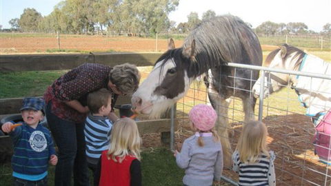 Cabarita Lodge - Accommodation Resorts 4