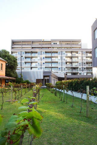 B7 Honeysuckle Apartments - Accommodation Resorts 1