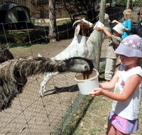 BIG4 Bairnsdale Holiday Park - Accommodation Resorts