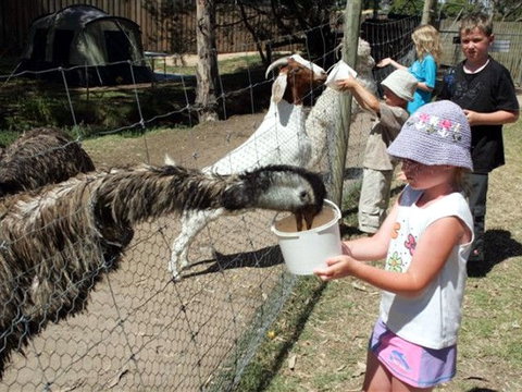 BIG4 Bairnsdale Holiday Park - Accommodation Resorts 0