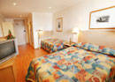 Haven Glebe, Sydney - Accommodation Resorts 3