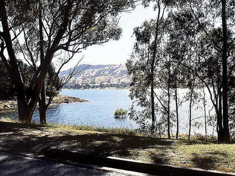 Ibis Styles Albury Lake Hume Resort - Accommodation Resorts 1