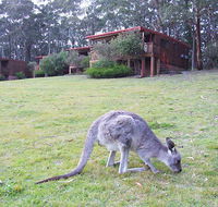 Jenolan Caves Cottages - Accommodation Resorts
