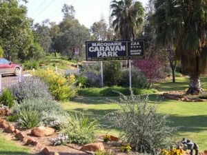 Macquarie Caravan Park - Accommodation Resorts 1