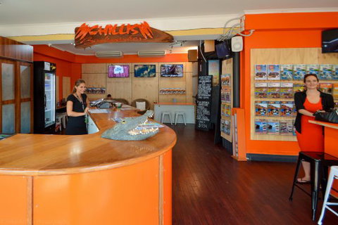 Chillis Backpackers - Accommodation Resorts 7