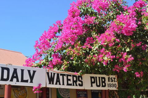 Daly Waters Historic Pub - Accommodation Resorts 7