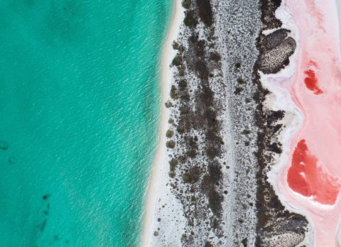 Dirk Hartog Island Eco Lodge - Accommodation Resorts 11