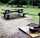 Bellbird campground - Accommodation Resorts