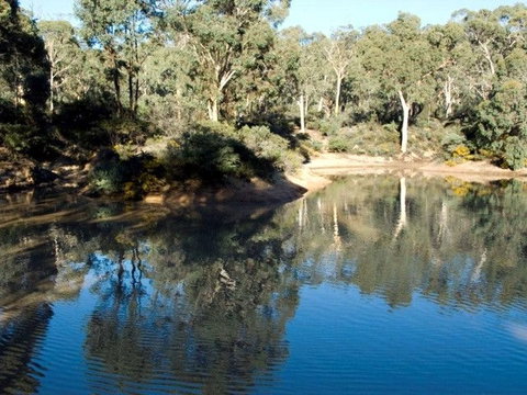 Toodyay Holiday Park & Chalets - Accommodation Resorts 4