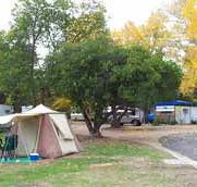 Wedderburn Pioneer Caravan Park - Accommodation Resorts