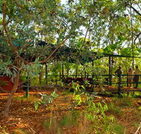 Arnhemland Barramundi Nature Lodge - Accommodation Resorts