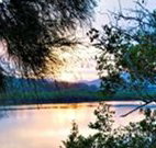 Tweed Coast Holiday Parks Hastings Point - Accommodation Resorts