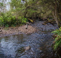 Horse Swamp campground - Accommodation Resorts