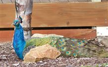 Lake Hume Tourist Park - Accommodation Resorts 1