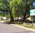 Spicer Park Caravan Park - Accommodation Resorts