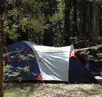 Thungutti campground - Accommodation Resorts
