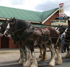 Araluen Valley Hotel - Araluen - Accommodation Resorts