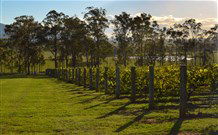 H Boutique Hotel - Pokolbin - Accommodation Resorts 0