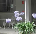 Pine Lodge Motel - Woolgoolga - Accommodation Resorts