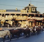 The Commercial Hotel Coonamble - Coonamble - Accommodation Resorts