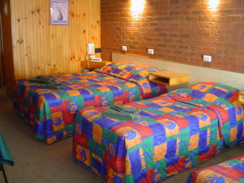 Country Roads Motor Inn - Narrandera - Accommodation Resorts 1