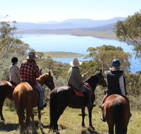 Reynella Homestead and Horseback Rides - Accommodation Resorts