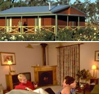 Twin Trees Country Cottages - Accommodation Resorts