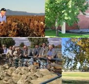 Southern Cross Motor Inn - Accommodation Resorts