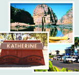 Red Gum Tourist Park - Accommodation Resorts
