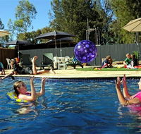 Kingston On Murray Caravan Park - Accommodation Resorts