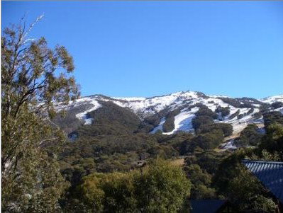 Alpenhorn Lodge - Accommodation Resorts 1