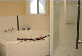 White Albatross Holiday Park - Accommodation Resorts 3