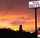 Walcha Motel - Walcha - Accommodation Resorts