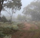 Heritage Park Bathurst - Accommodation Resorts