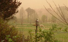 Joselands Country Accommodation - Accommodation Resorts 3