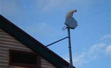 Lake View Farm House - Accommodation Resorts 7