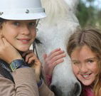 Mayfield Vineyard Cottages - Accommodation Resorts