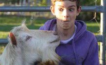 Mayfield Vineyard Cottages - Accommodation Resorts 1