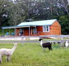 Moorallie Cottage Farm Stay - Accommodation Resorts