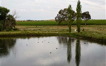 Old Redbank Farm Holiday - Accommodation Resorts 1
