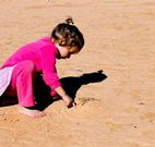 Stony Creek Farm B and B - Accommodation Resorts